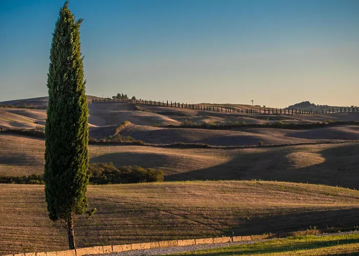 Podere Fossaccio Casa Pino Σπίτι διακοπών Asciano